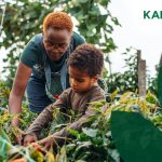 KAL Group – South Africa  – KAL Group | Leading Agri-lifestyle Business in South Africa